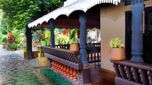 Dr. Sandhya Nature Life