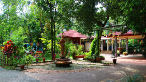 Dr. Sandhya Nature Life