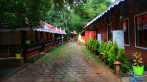 Dr. Sandhya Nature Life